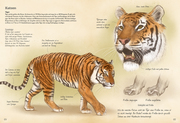Das große Buch der Landsäugetiere - Abbildung 4