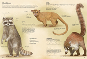 Das große Buch der Landsäugetiere - Abbildung 5