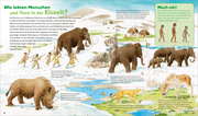 Dinosaurier und Tiere der Urzeit - Illustrationen 3