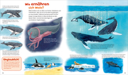 WAS IST WAS Junior - Wale und Delfine - Illustrationen 2