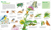Insekten - Abbildung 1