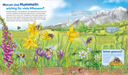 Bienen, Wespen, Hummeln - Abbildung 2