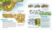 Bienen, Wespen, Hummeln - Abbildung 4