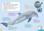 Wale und Delfine - Illustrationen 4