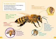 Bienen - Abbildung 4