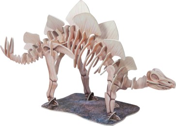Dinosaurier Skelett-Modell. STEGOSAURUS - Abbildung 2
