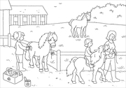 Mein schönstes Malbuch: Pferde und Ponys - Illustrationen 1