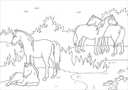 Mein schönstes Malbuch: Pferde und Ponys - Illustrationen 2