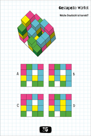 Super Rätselblock ab 12 Jahren. Faltpläne, Logicals, Sudokus und viele andere Rätsel - Abbildung 4