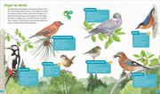 BOOKii® Hören und Staunen Heimische Vögel - Abbildung 3