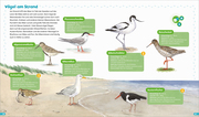 BOOKii® Hören und Staunen Heimische Vögel - Abbildung 4