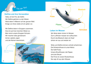 WAS IST WAS Erstes Lesen. Leserätsel Wale und Delfine - Abbildung 1