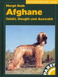 Afghane - Saluki, Sloughi und Azawakh