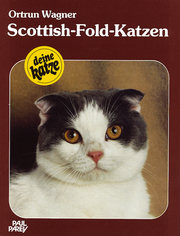 Scottish-Fold-Katzen