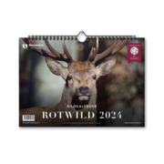 Rotwild 2024 - Cover