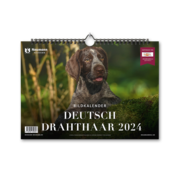Deutsch Drahthaar 2024 - Cover