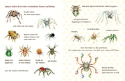 Spinnen-Alarm - Abbildung 3
