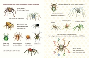 Spinnen-Alarm - Abbildung 4