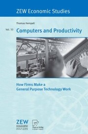 Computers and Productivity