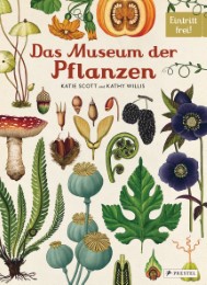 Das Museum der Pflanzen