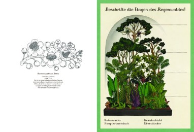 Das Museum der Pflanzen. Mein großes Mitmachbuch - Abbildung 2