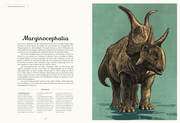 Das Museum der Dinosaurier - Illustrationen 3
