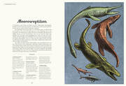 Das Museum der Dinosaurier - Illustrationen 5