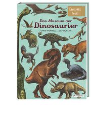 Das Museum der Dinosaurier - Illustrationen 8