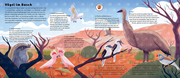Klänge der Natur: Welt der Vögel - Sound-Buch - Abbildung 2