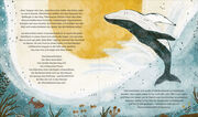 Die Rettung der Buckelwale und andere Naturgeschichten, die glücklich machen - Illustrationen 2