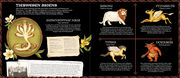 Das große Handbuch der magischen Tiere - Abbildung 4