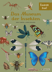 Das Museum der Insekten - Cover