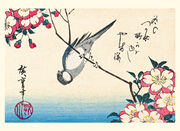 Eisvogel und Lotusblüte - Abbildung 9