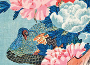 Eisvogel und Lotusblüte - Abbildung 10
