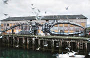 Street Art: Legendäre Künstler und ihre Visionen mit u.a. Banksy, Shepard Fairey, Swoon u.v.m. - Abbildung 4
