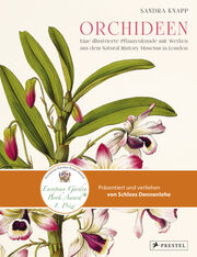 Orchideen - Abbildung 1