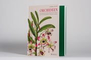 Orchideen - Abbildung 2