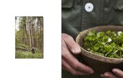 Immergrün: Die nordische Gemüseküche - Abbildung 10