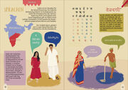 Indien. Der illustrierte Guide - Abbildung 1