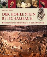 Der Hohle Stein bei Schambach - Cover