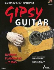 Gipsy Guitar - Cover