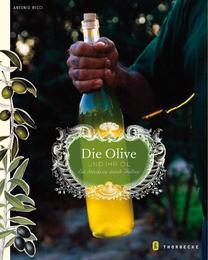 Die Olive und ihr Öl