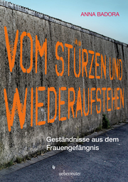Vom Stürzen und Wiederaufstehen - Cover