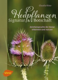 Heilpflanzen - Signatur und Botschaft