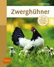 Zwerghühner - Cover