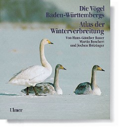 Die Vögel Baden-Württembergs 5: Atlas der Winterverbreitung