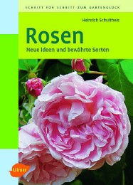 Rosen - Cover