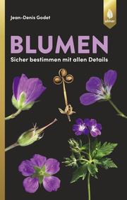 Blumen - Cover