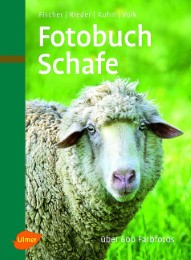 Fotobuch Schafe