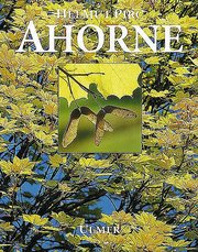 Ahorne - Cover
